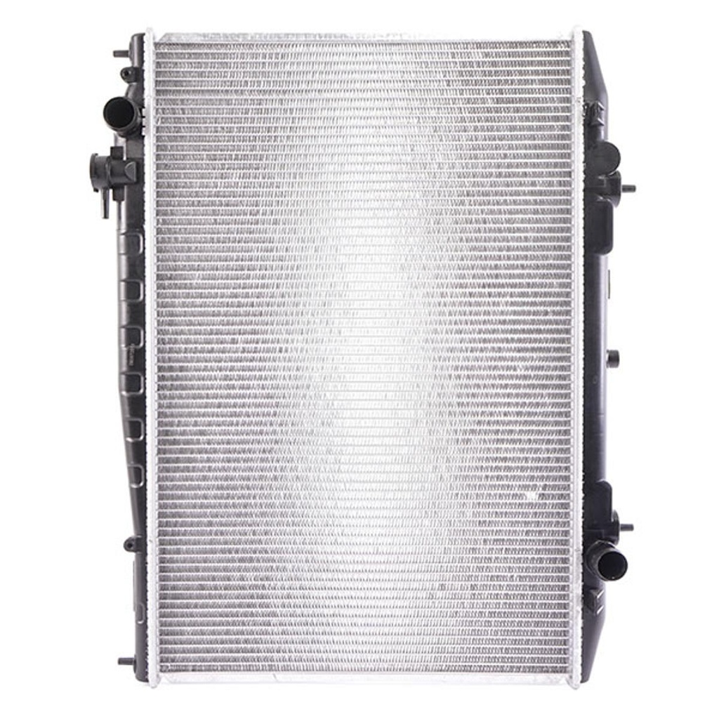 Radiador Motor Rich