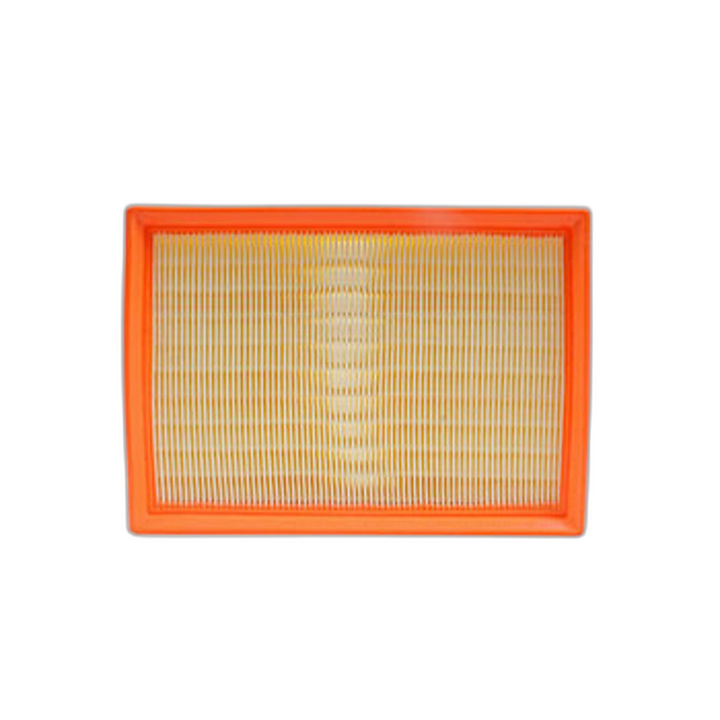 Filtro Aire Escort