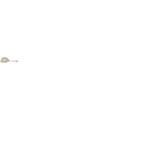 Varilla Nivel Aceite Eon