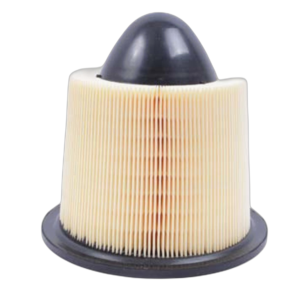 Filtro Aire Expedition - F-150