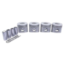Juego Piston Terrano
