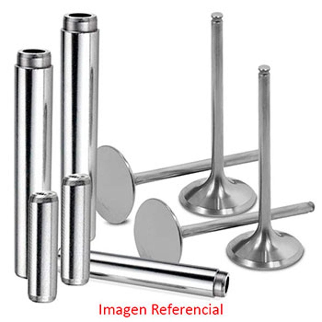 Valvula Escape Antimagnetica B2900 - B2500