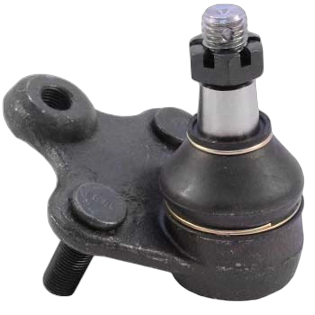 Rotula Inferior Crv