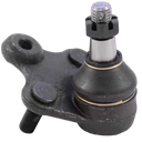Rotula Inferior Crv