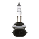 Ampolleta Halogena Elantra - Spark - Carens - Universal