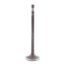 Valvula Admision Getz - Avante - I-30 - Accent - Carens