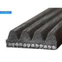 Correa Ribstar 626 - 929 - Aa