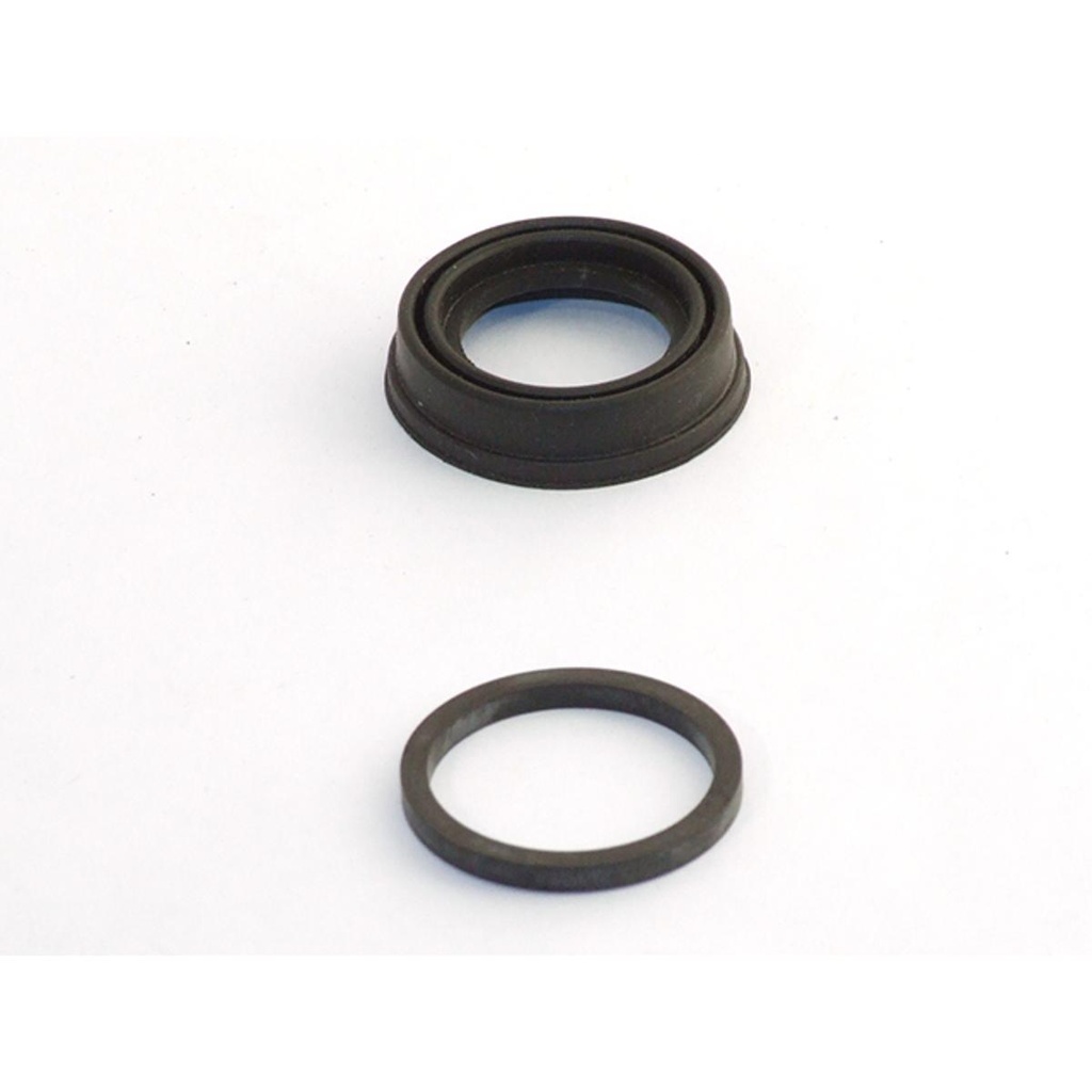 Reparacion Caliper Trasero Xsara - 19 - 306 - Megane - 205