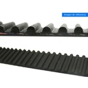 Correa Distribucion Aa - Galant