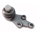 Rotula Inferior Carnival - H1 - Veracruz