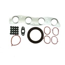 JG. EMPAQ. MOTOR Morning - Rio