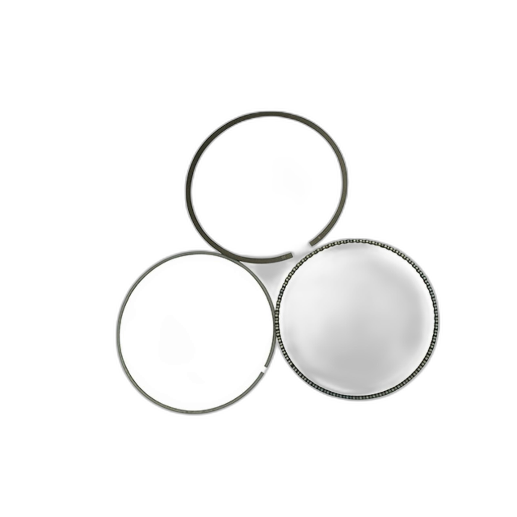 JG. ANILLOS Alto - Celerio