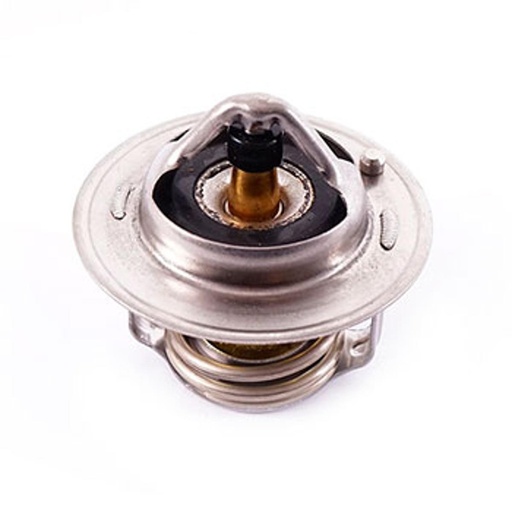 [21200-7668R] Termostato Fluence