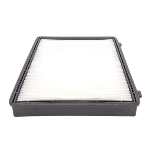 [22753219] Filtro Polen Captiva