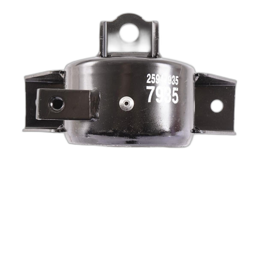[25947935] Soporte Motor Tracker