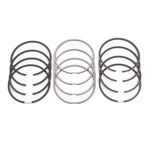 [ALS-CH02262] Juego Anillos G10