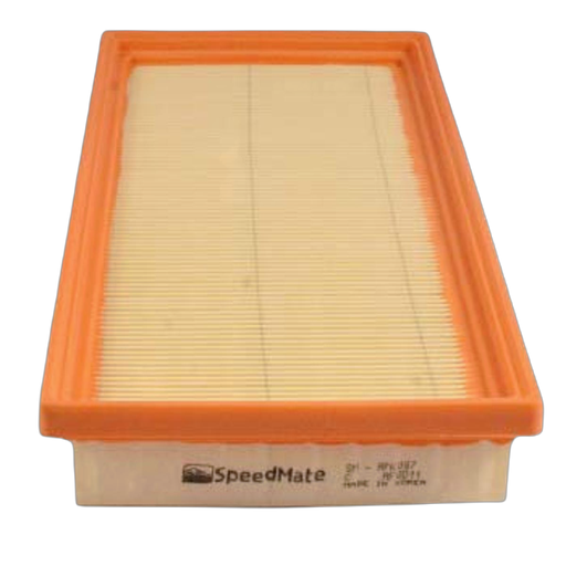 [0K30C-13-Z40] Filtro Aire Rio