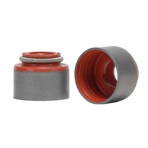 [WL01-10-155] Reten Valvula B2900 - B2500
