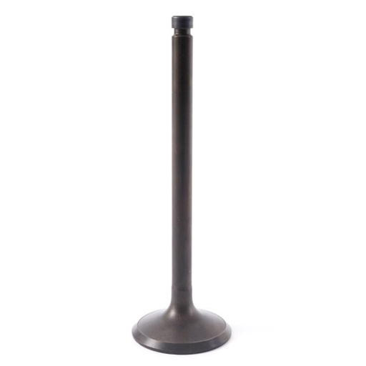 [22211-45000] Valvula Admision County - Canter - Rosa - Pamax - Mighty