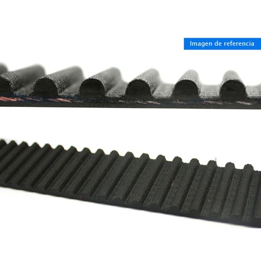 [310754] Correa Distribucion Aa - Galant